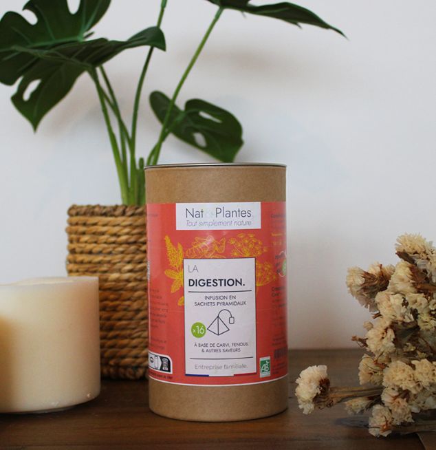 OFFRE FLASH - Sachets pyramidaux (x16) - La digestion